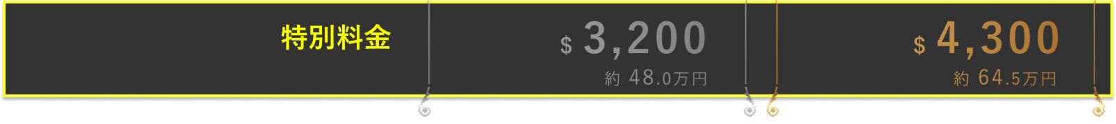 特別料金